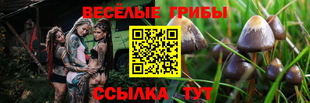 Галлюциногенные грибы ЛСД  Вход с VPN  Псилоцибиновые грибы Psilocybe  Гагарин 